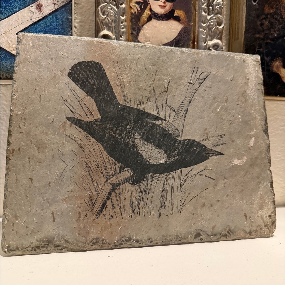 Vintage‎ Red-Winged Blackbird Illustration on Stone Slate Signed by artist
